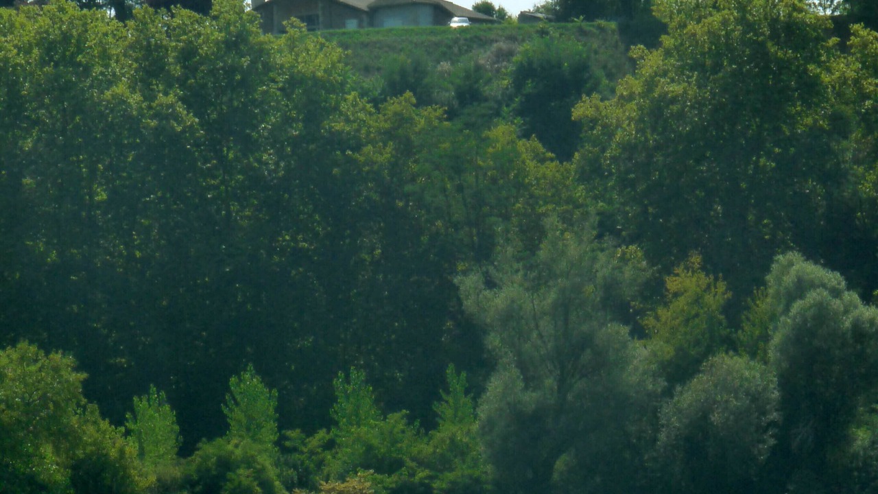Photo of Outdoor in Meilhan-sur-Garonne