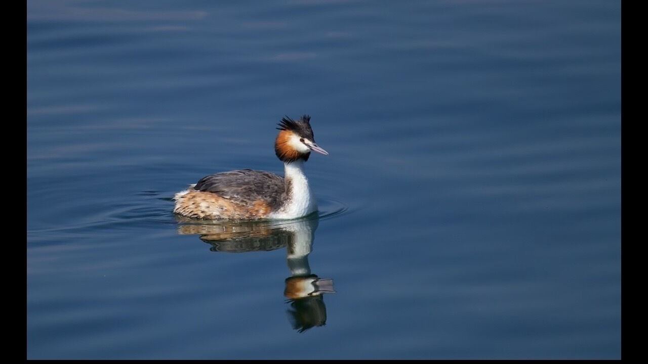 Photo of Others in Aix-les-Bains