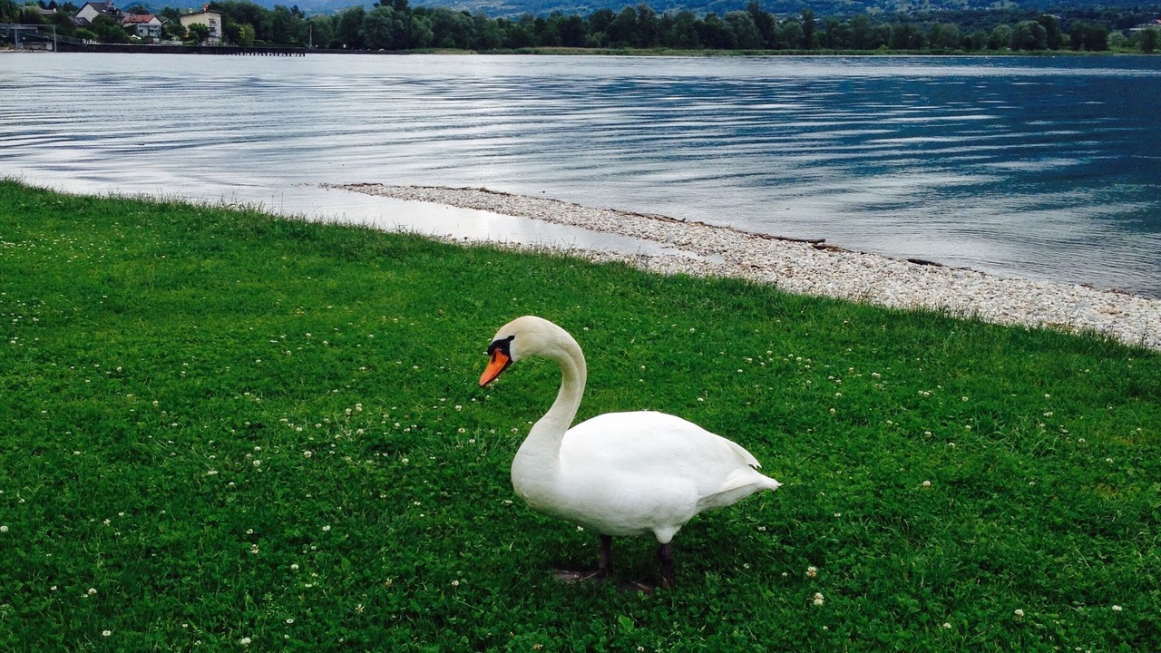 Photo of Others in Aix-les-Bains