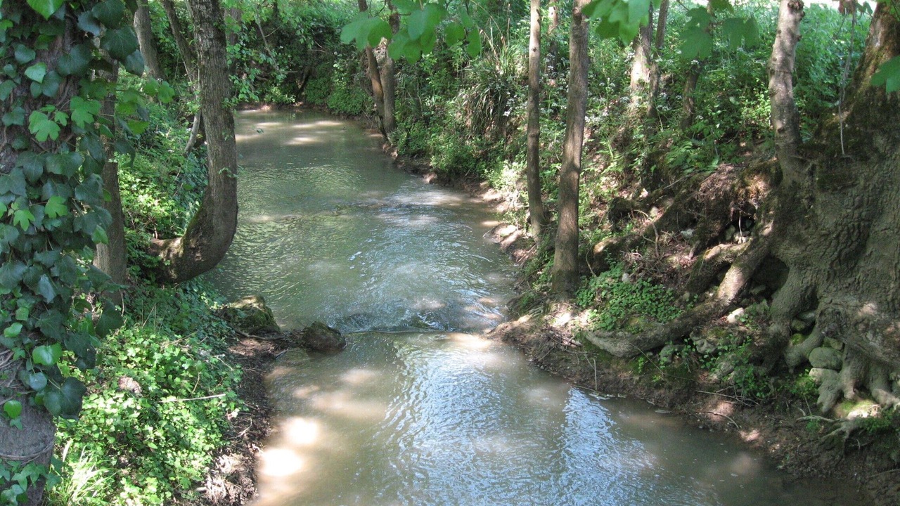 Photo of Outdoor in Plieux