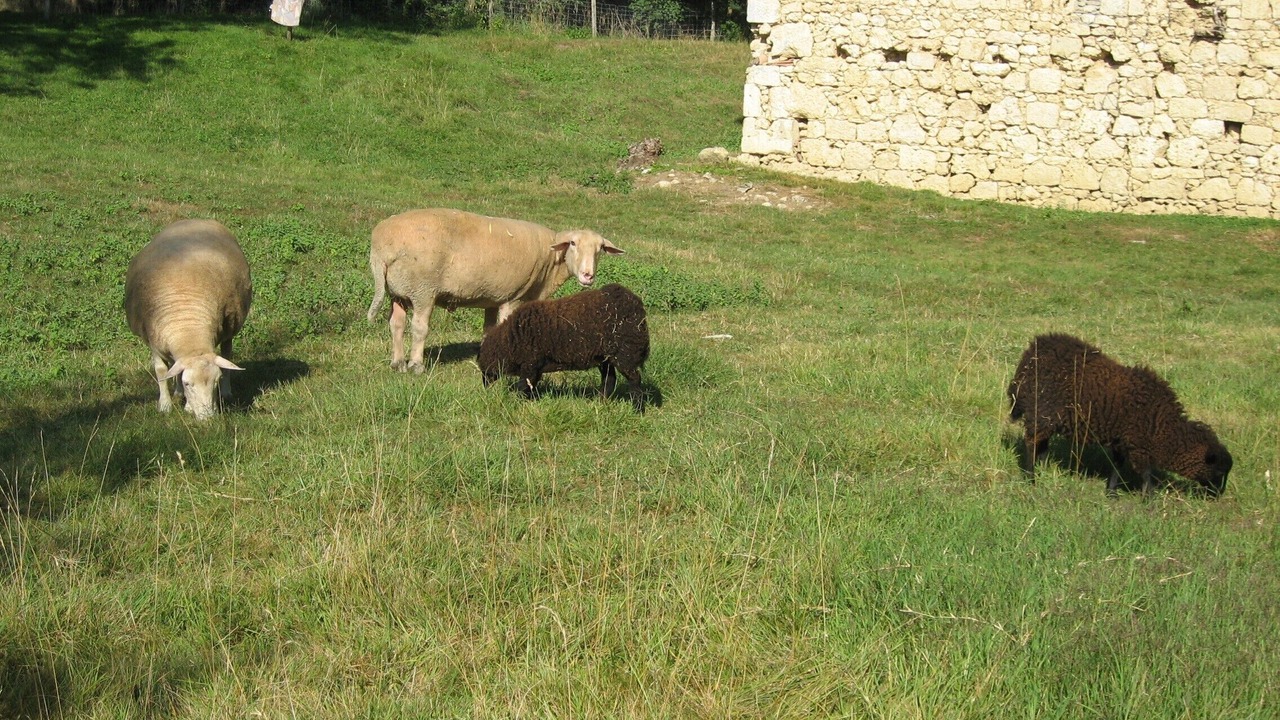 Photo of Outdoor in Plieux
