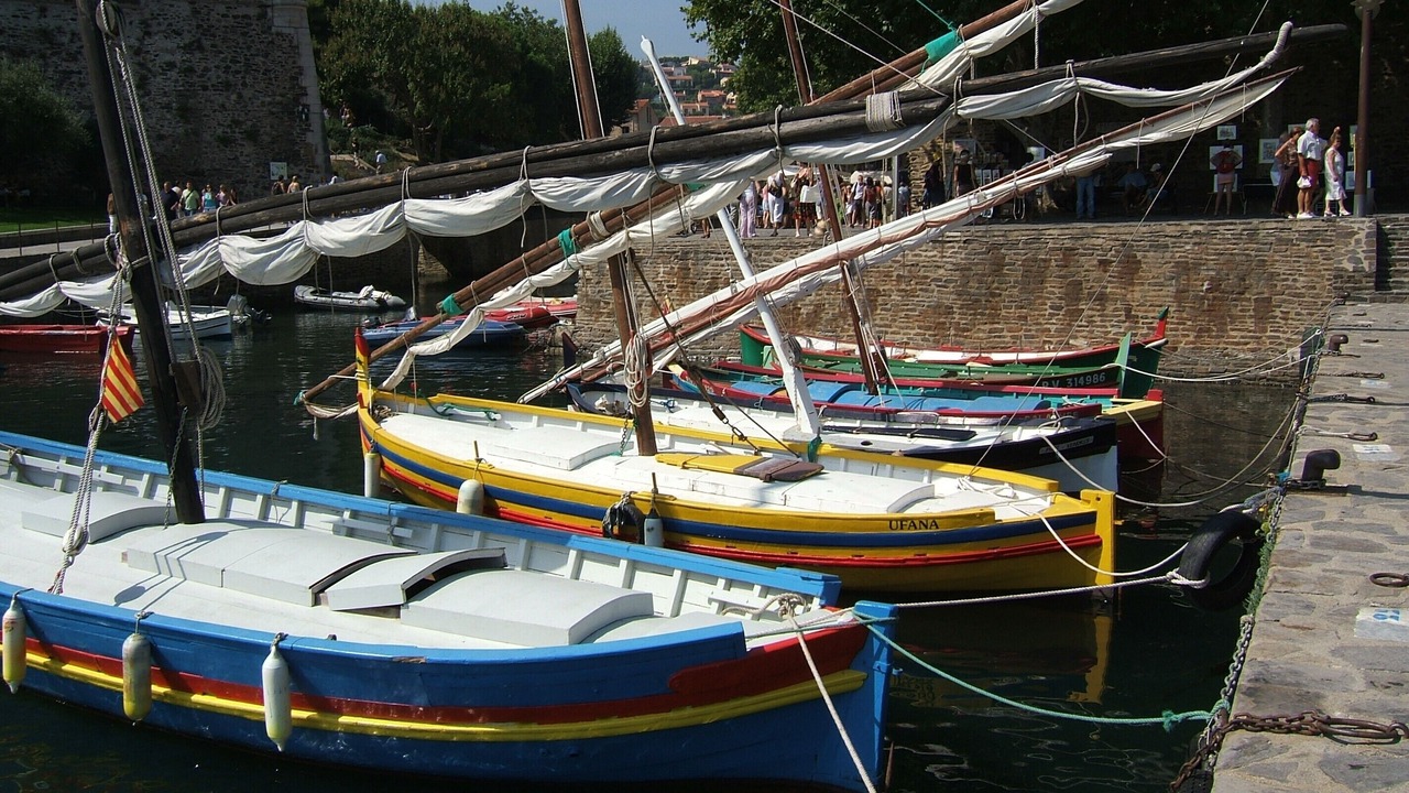 Photo of Others in Collioure