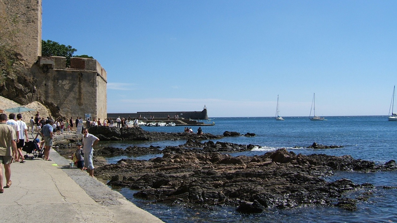 Photo of Others in Collioure