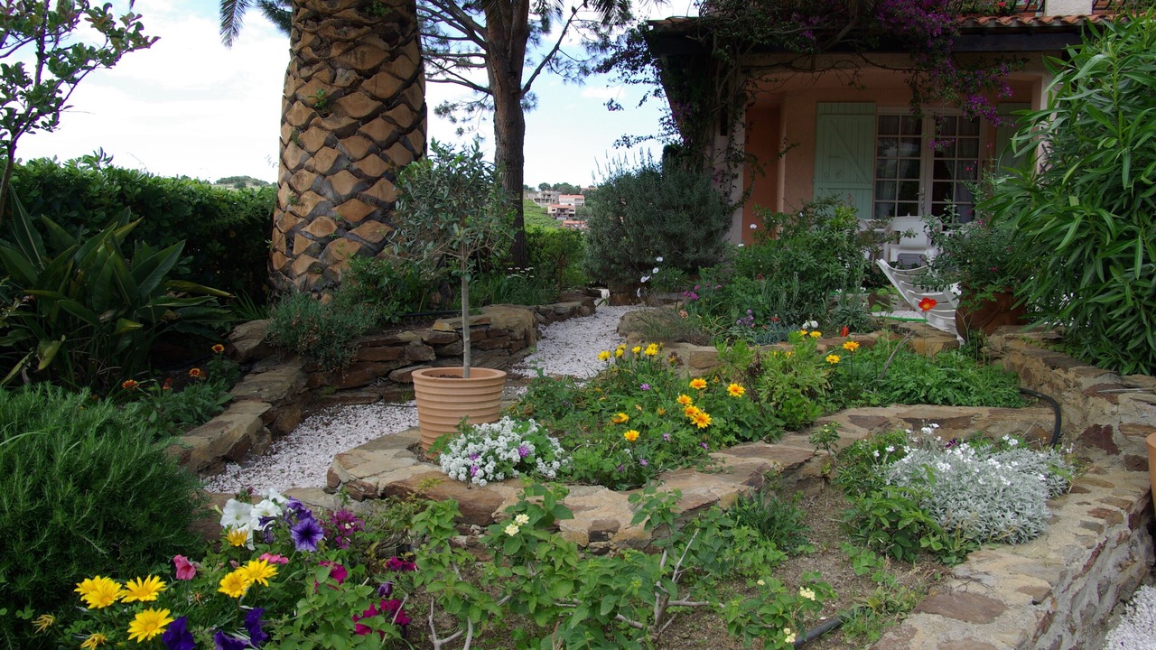 Photo of Outdoor in Collioure
