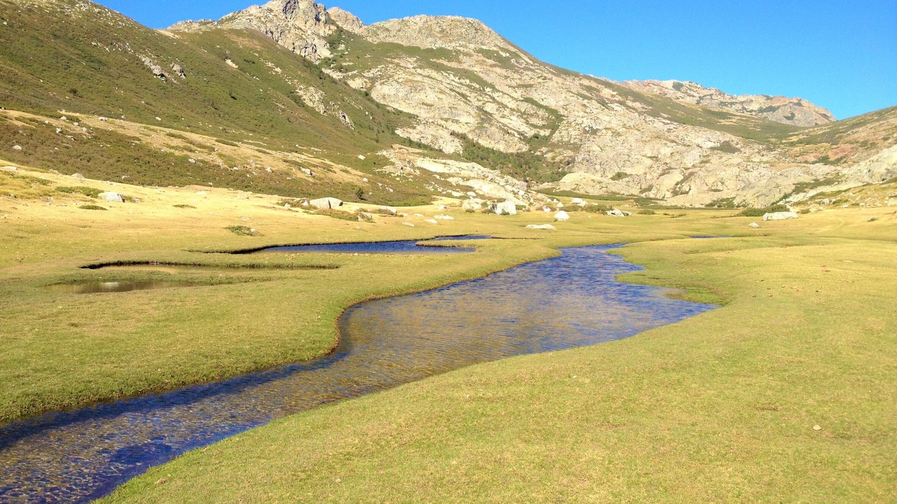 Photo of Others in Ghisoni