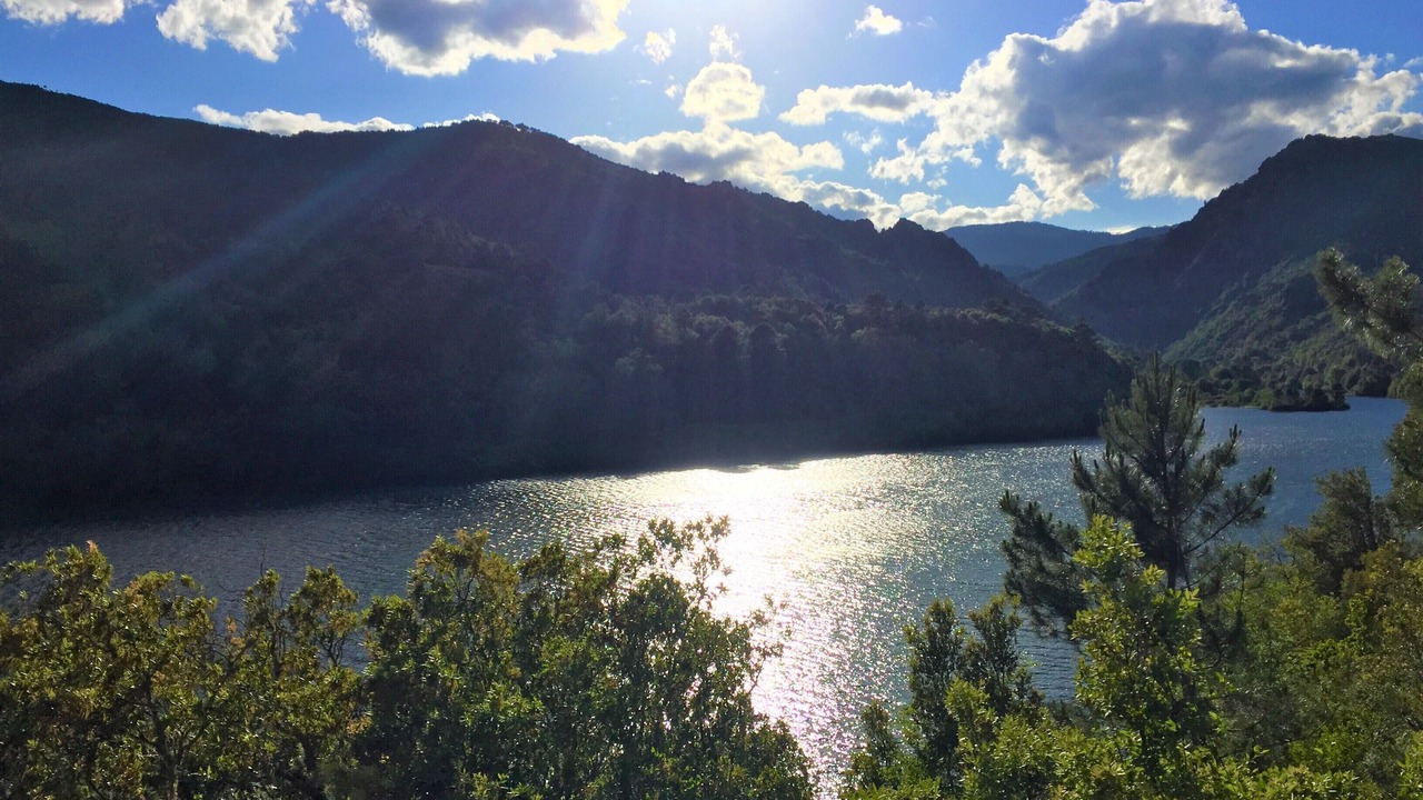 Photo of Others in Ghisoni