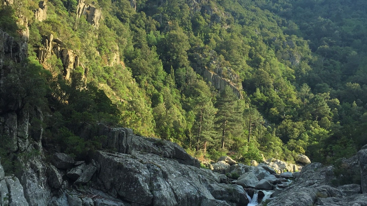 Photo of Outdoor in Ghisoni