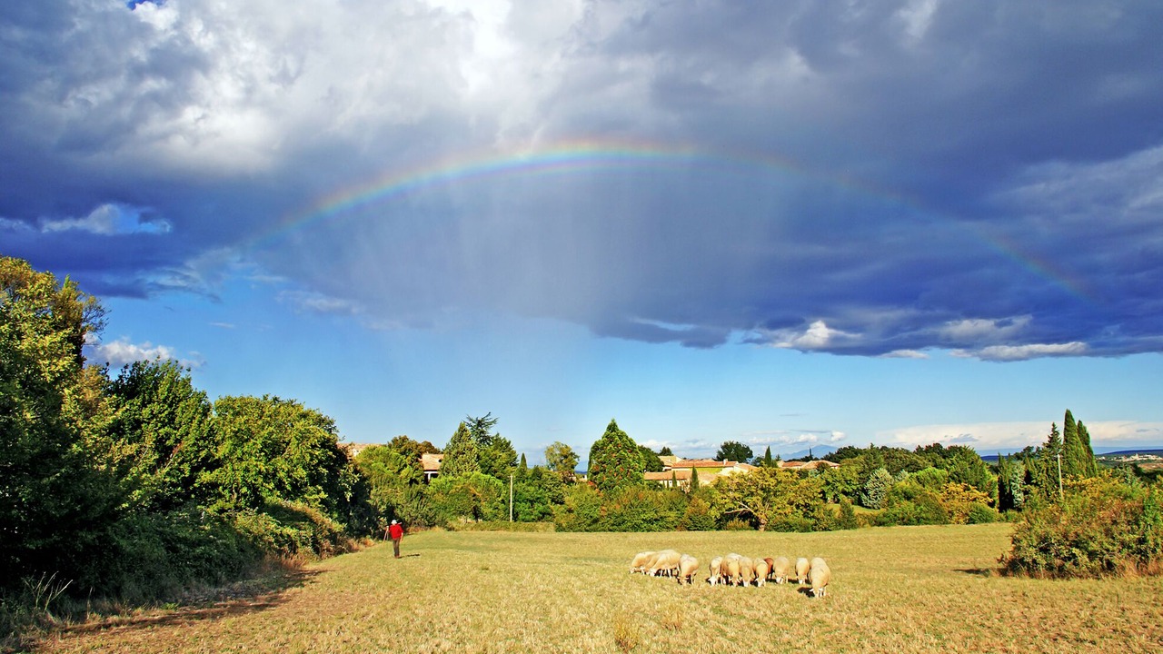 Photo of Others in Lussan