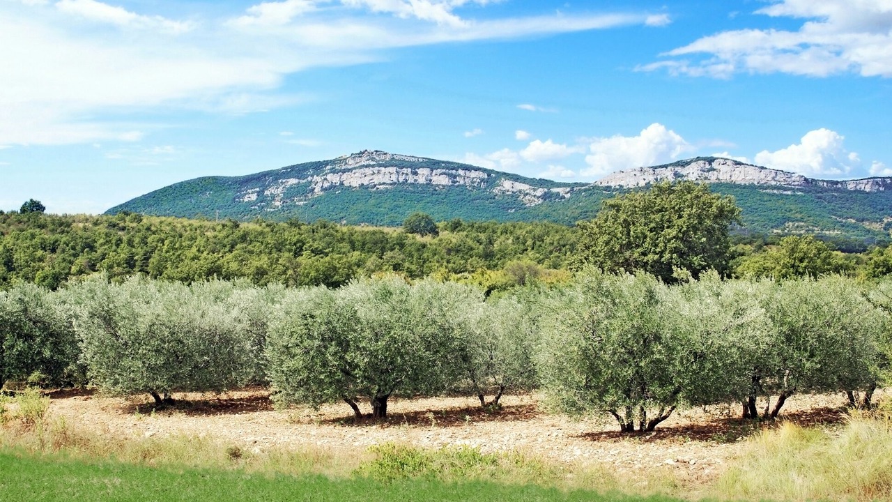 Photo of Outdoor in Lussan