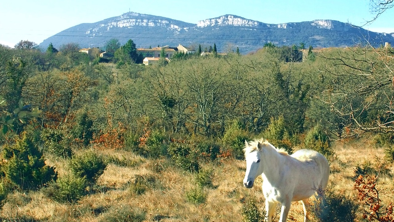 Photo of Outdoor in Lussan