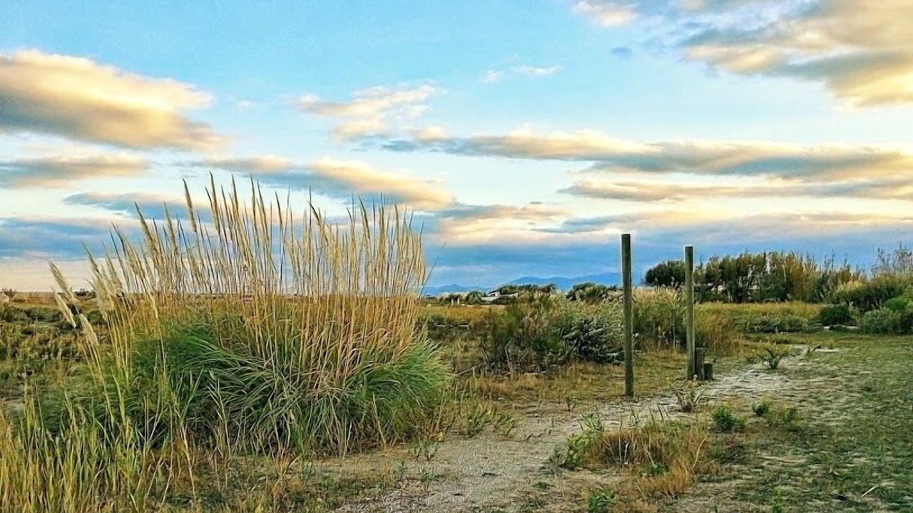 Photo of Outdoor in Torreilles
