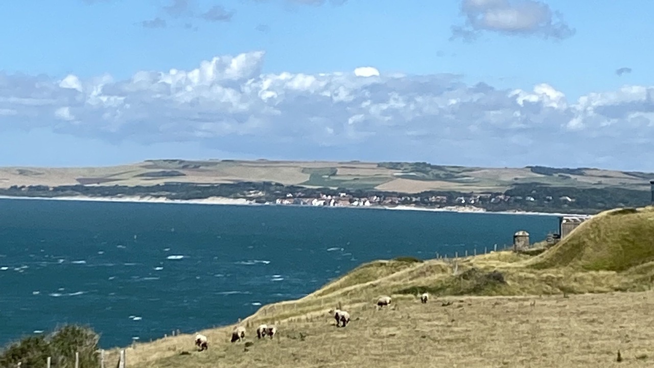 Photo of Others in Neufchatel-Hardelot