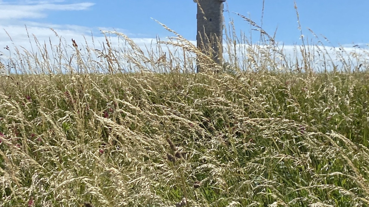 Photo of Others in Neufchatel-Hardelot