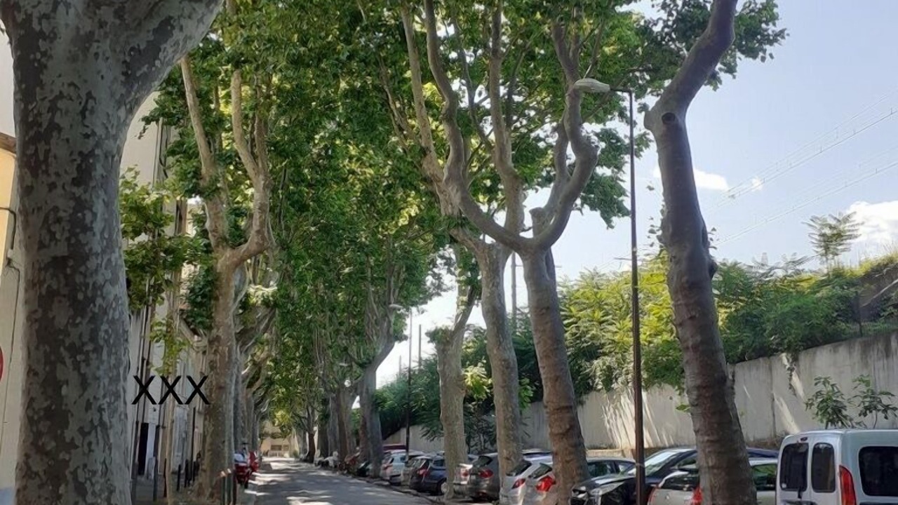 Photo of Others in Avignon