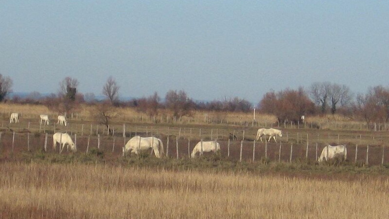 Photo of Outdoor in Avignon