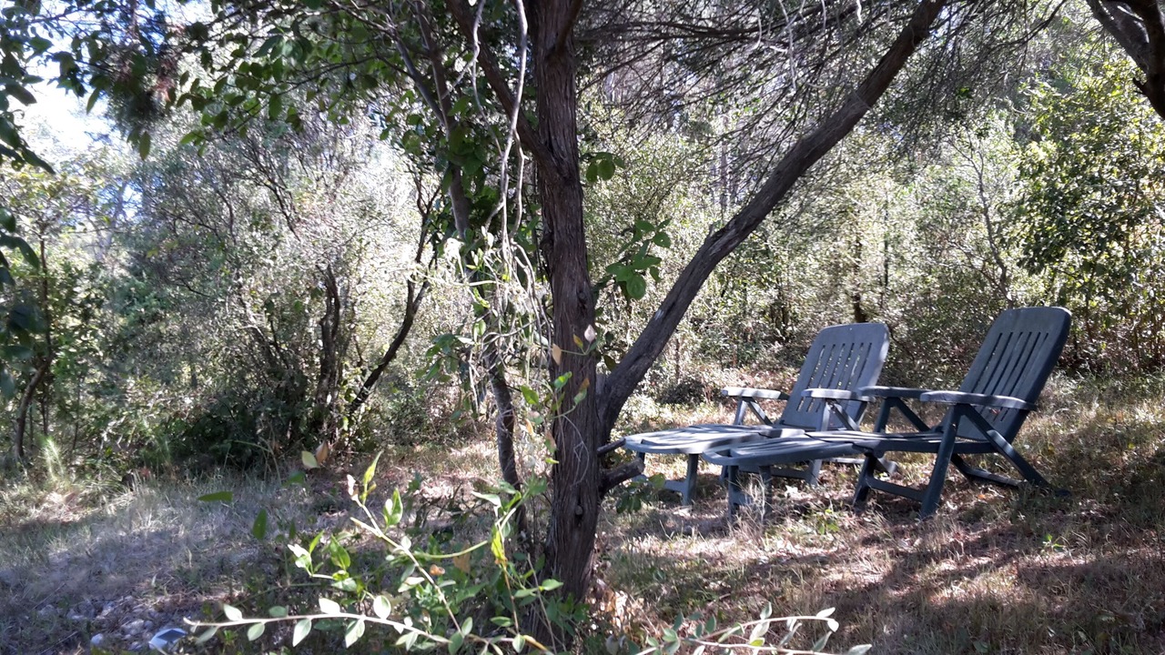 Photo of Outdoor in Grabels