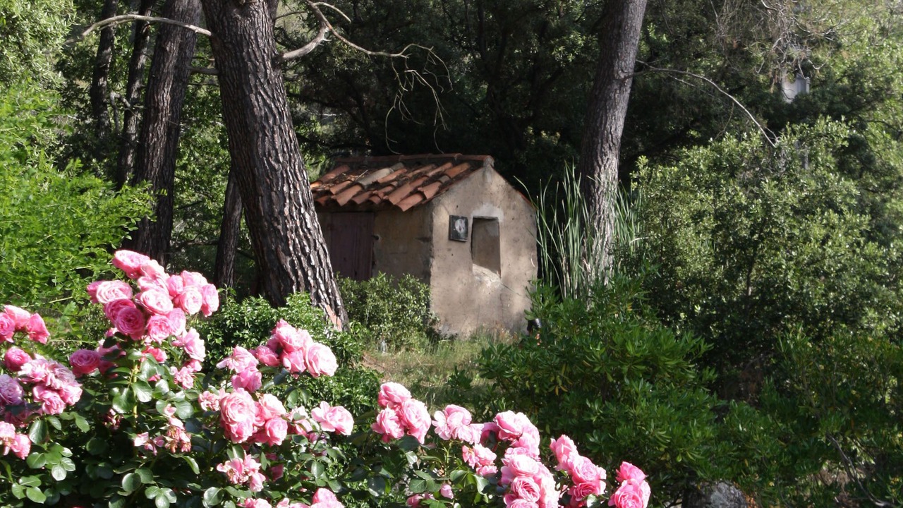 Photo of Outdoor in Trets
