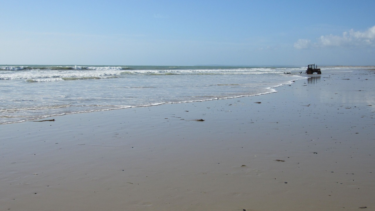 Photo of Others in La Haye