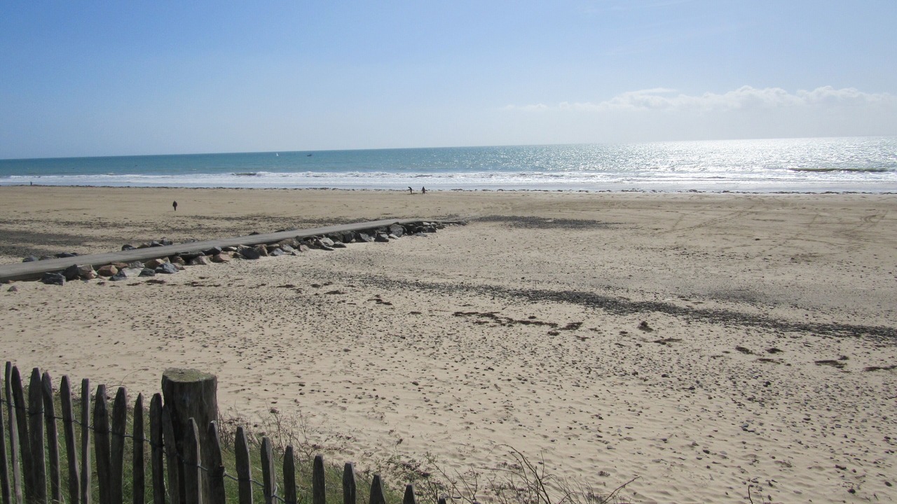 Photo of Others in La Haye