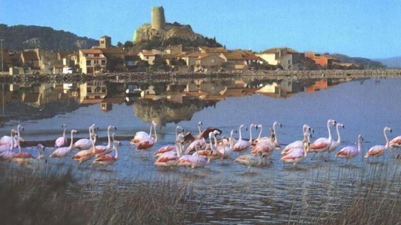 Photo of Others in Gruissan Plage
