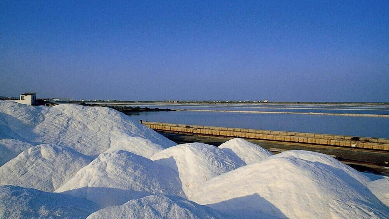 Photo of Outdoor in Gruissan Plage