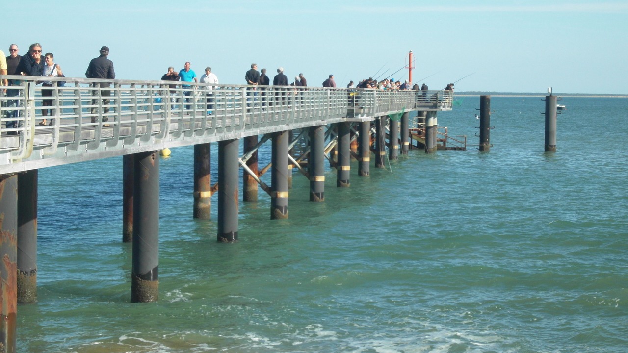 Photo of Others in La Tranche-sur-Mer