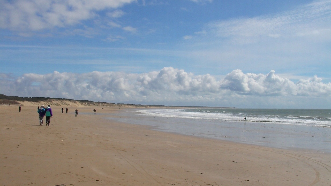 Photo of Others in Longeville-sur-Mer