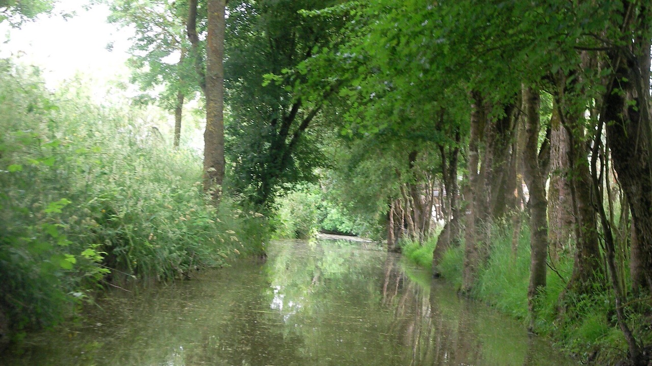 Photo of Outdoor in Longeville-sur-Mer