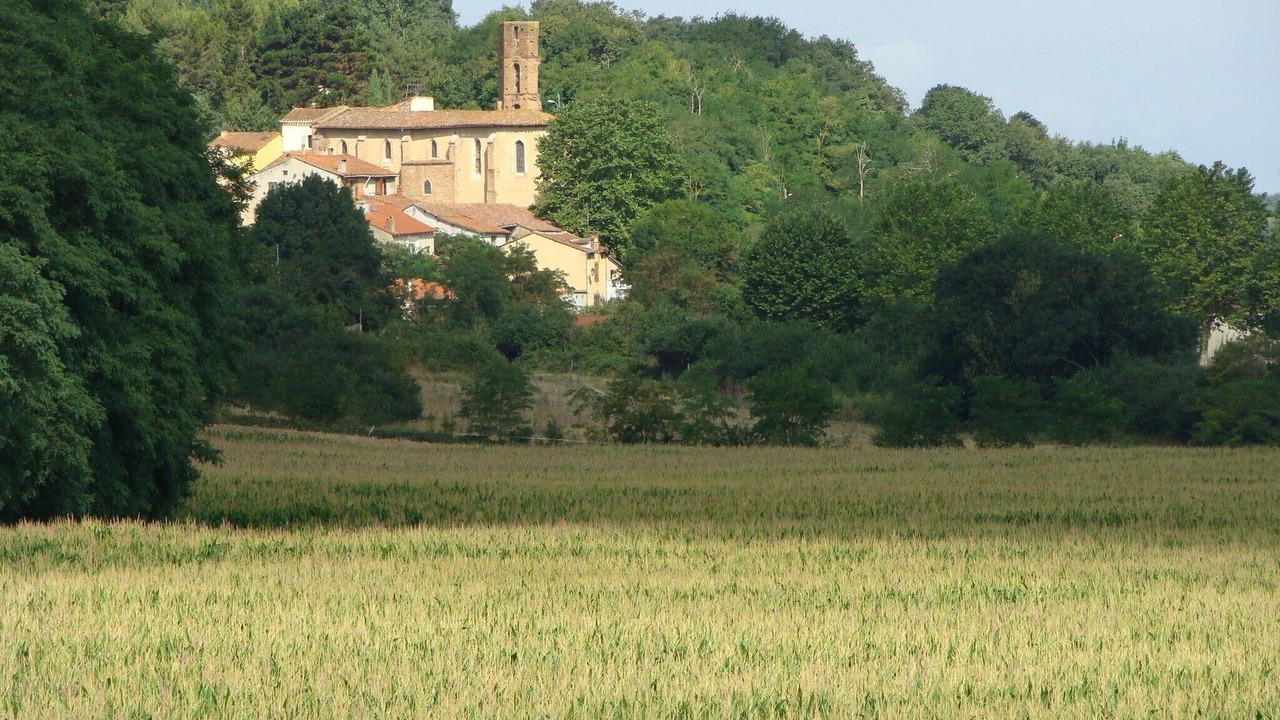 Photo of Outdoor in Saverdun