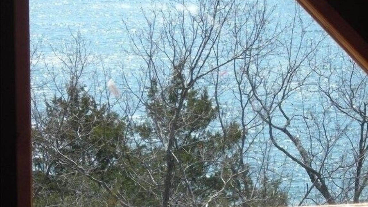 Photo of Others in Sylvan Shores