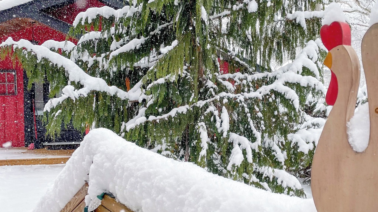 Photo of Outdoor in Bloomfield