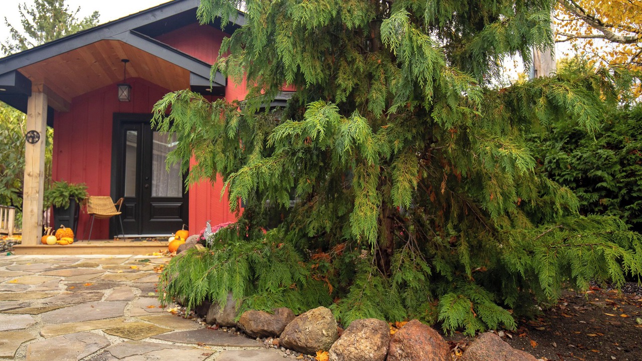 Photo of Outdoor in Bloomfield