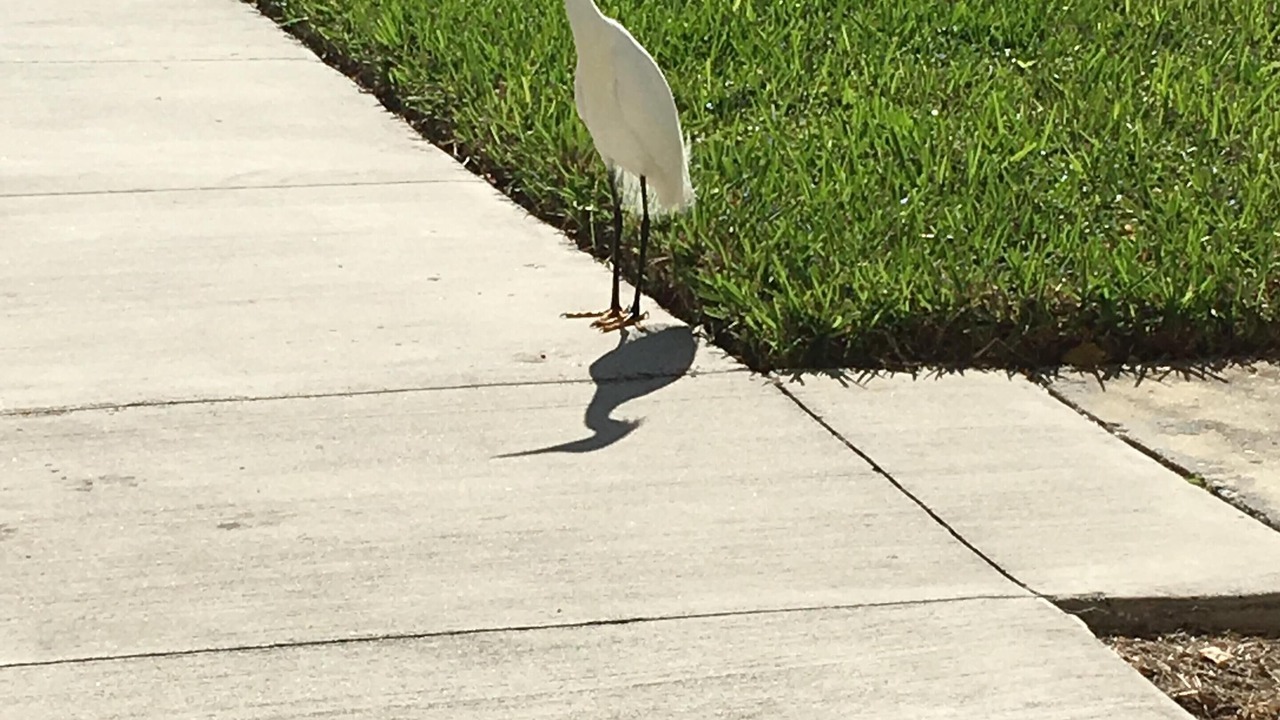 Photo of Outdoor in Hudson Beach Estates