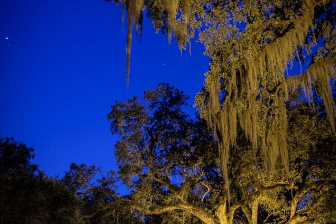 Photo of Outdoor in Breaux Bridge