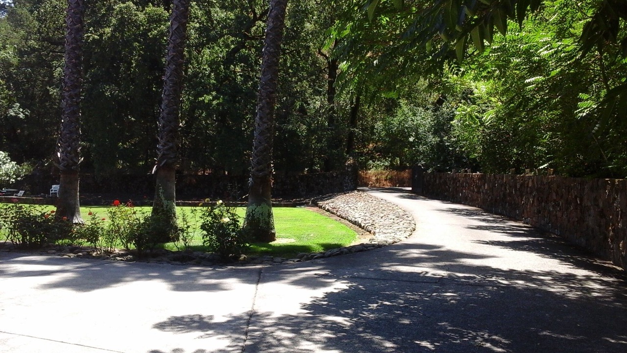 Photo of Outdoor in Deer Park