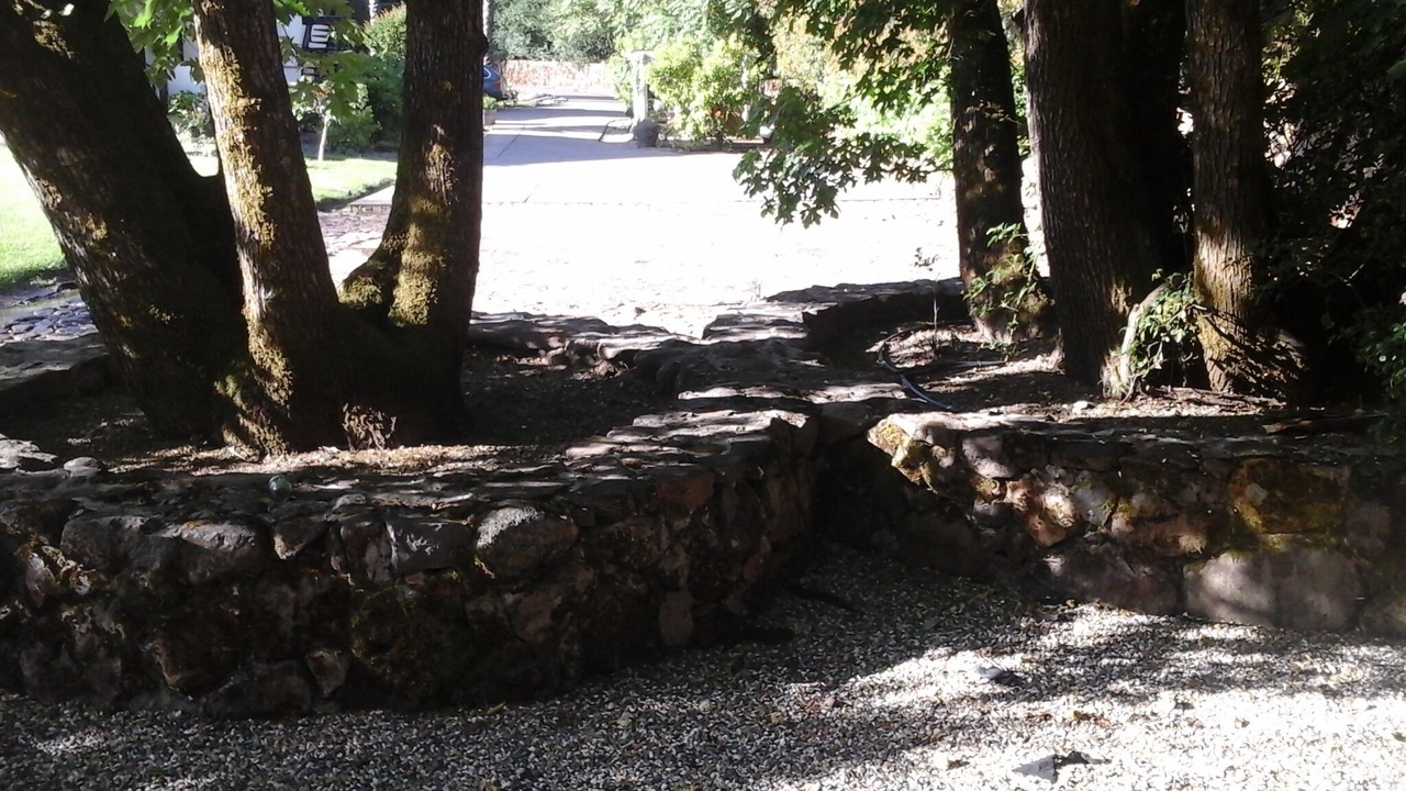 Photo of Outdoor in Deer Park