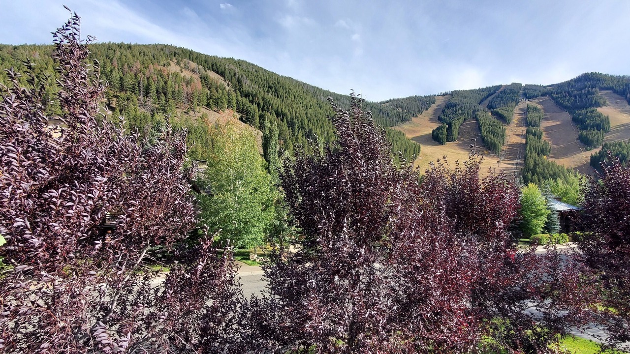 Photo of Others in Warm Springs