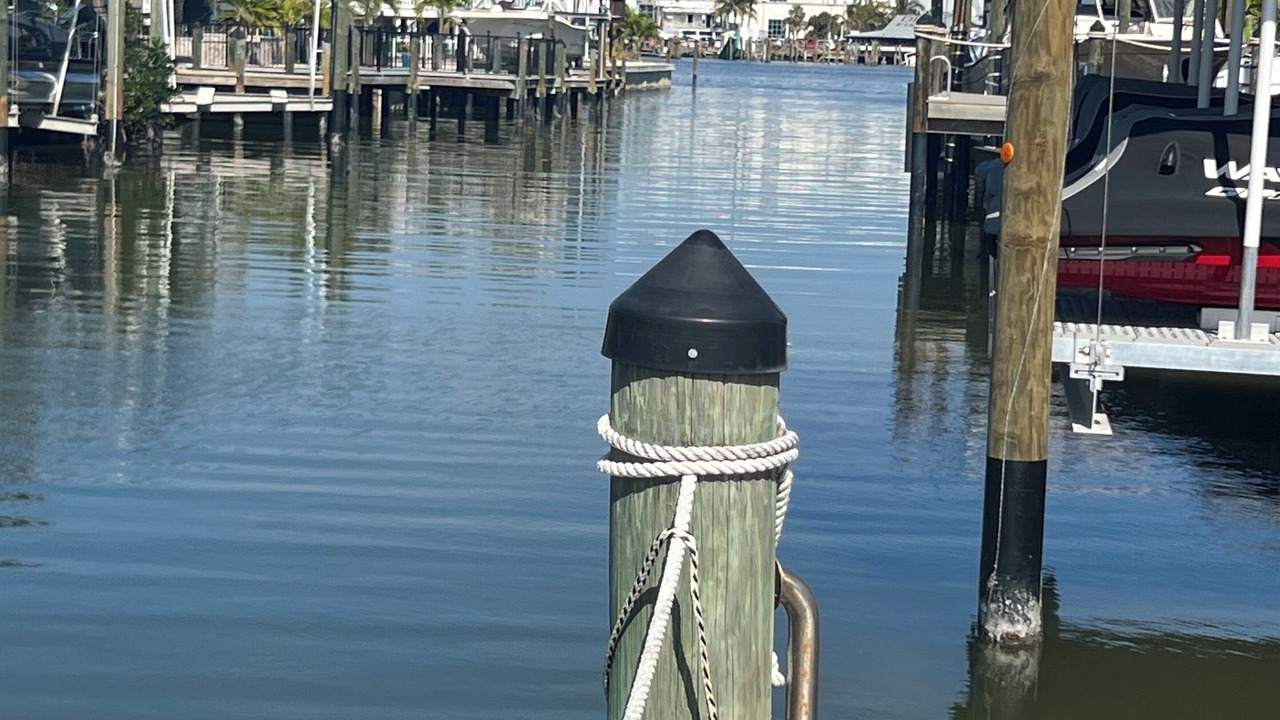 Photo of Others in Fort Myers Beach