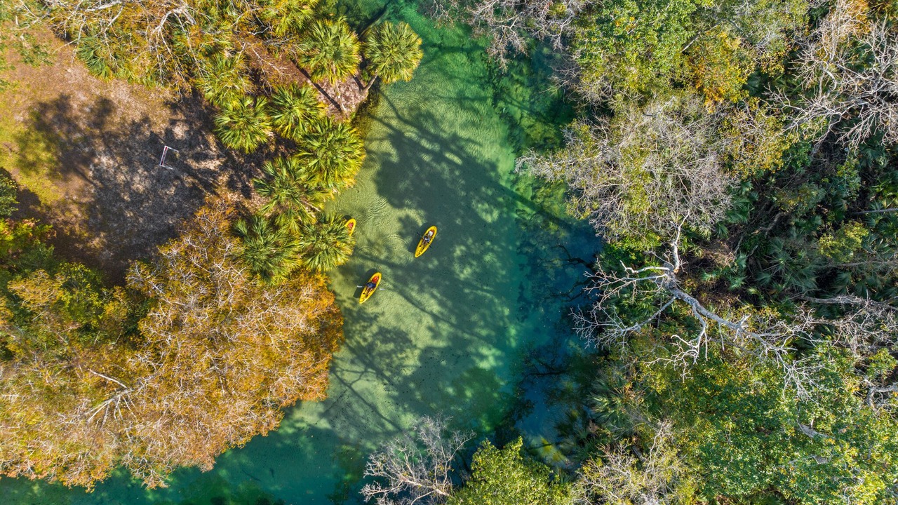 Photo of Outdoor in Weeki Wachee Gardens