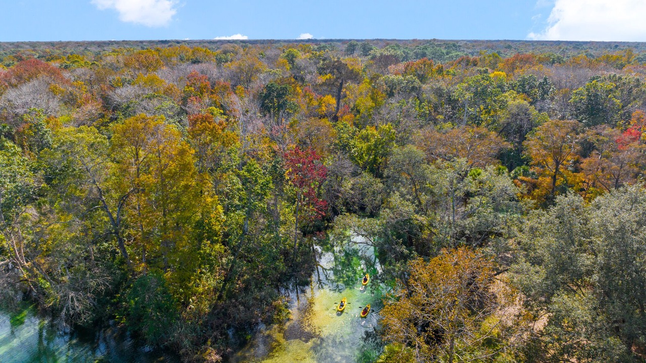 Photo of Outdoor in Weeki Wachee Gardens