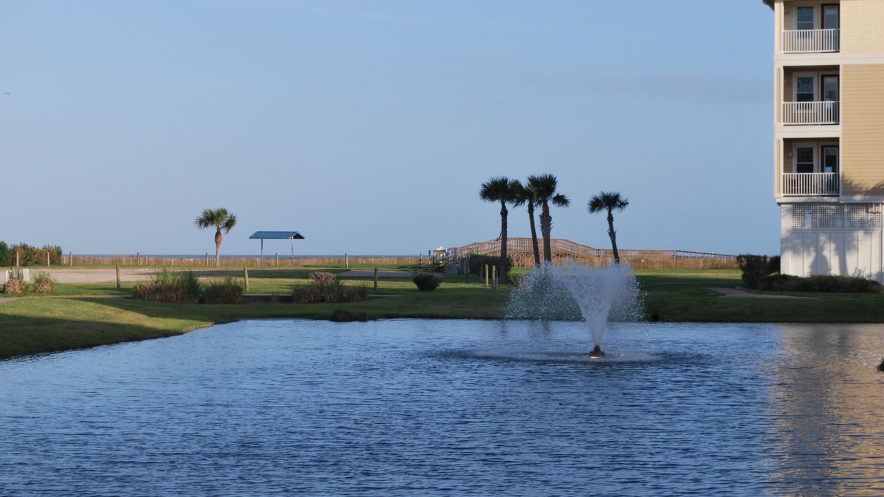 Photo of Others in Red Fish Cove