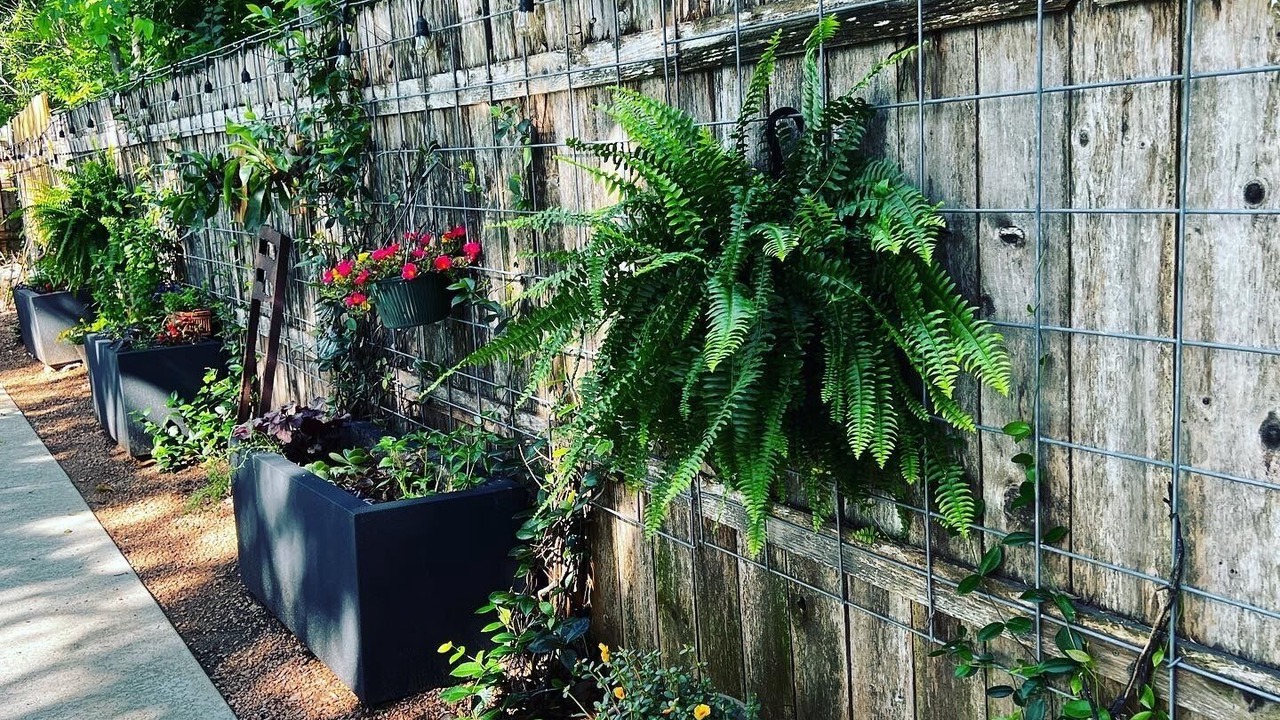 Photo of Outdoor in Bouldin