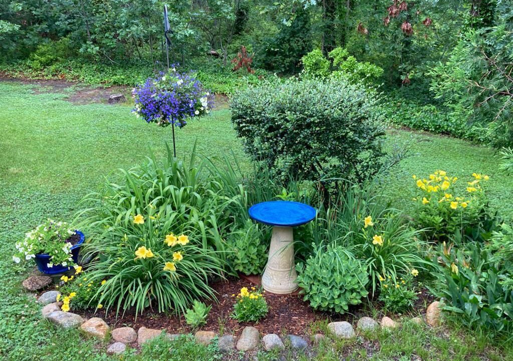 Photo of Outdoor in South Chatham