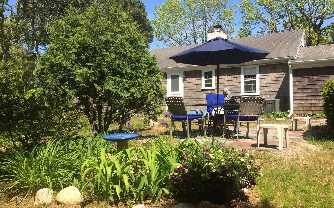 Photo of Others in South Chatham