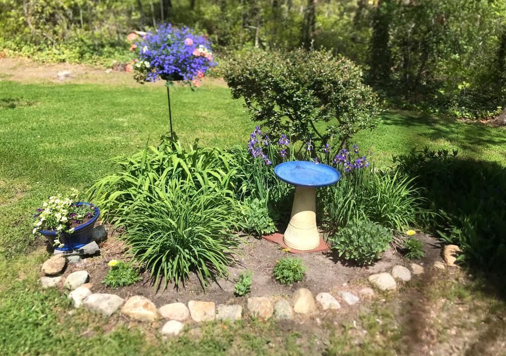 Photo of Outdoor in South Chatham