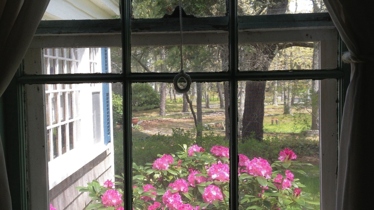 Photo of Others in South Chatham