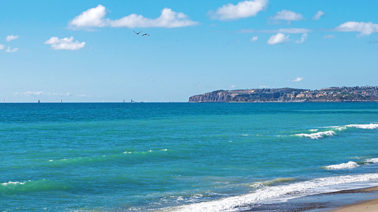 Photo of Others in Capistrano Beach