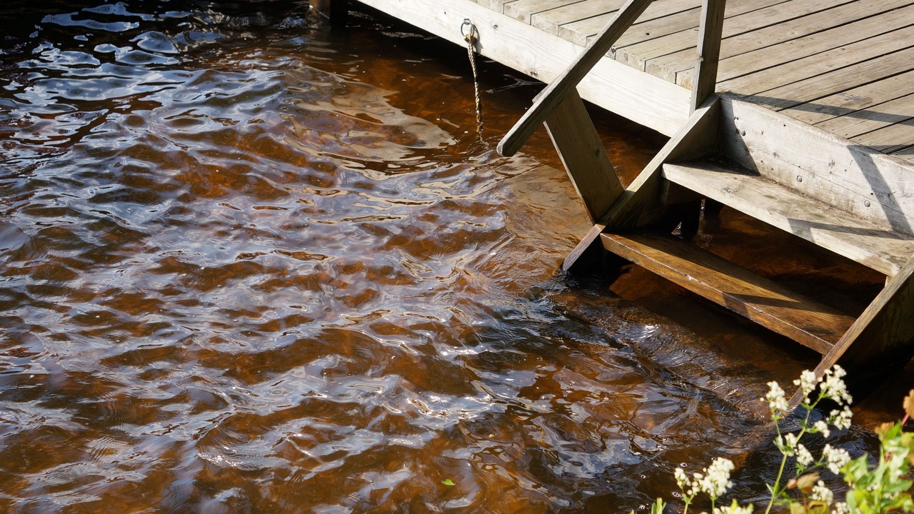 Photo of Outdoor in Saranac Lake