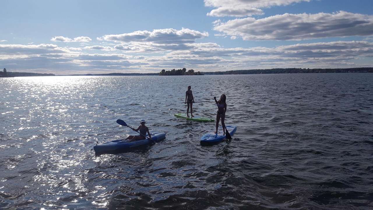 Photo of Others in De Peyster