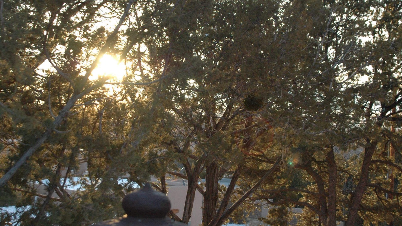 Photo of Outdoor in Northeast Santa Fe